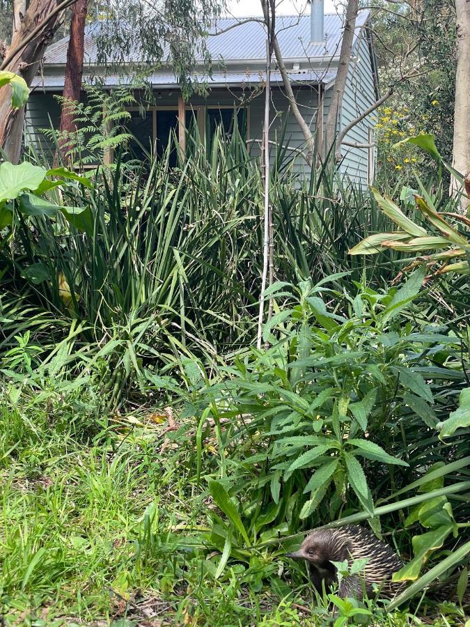 Tindoona Cottages Foster Exterior foto