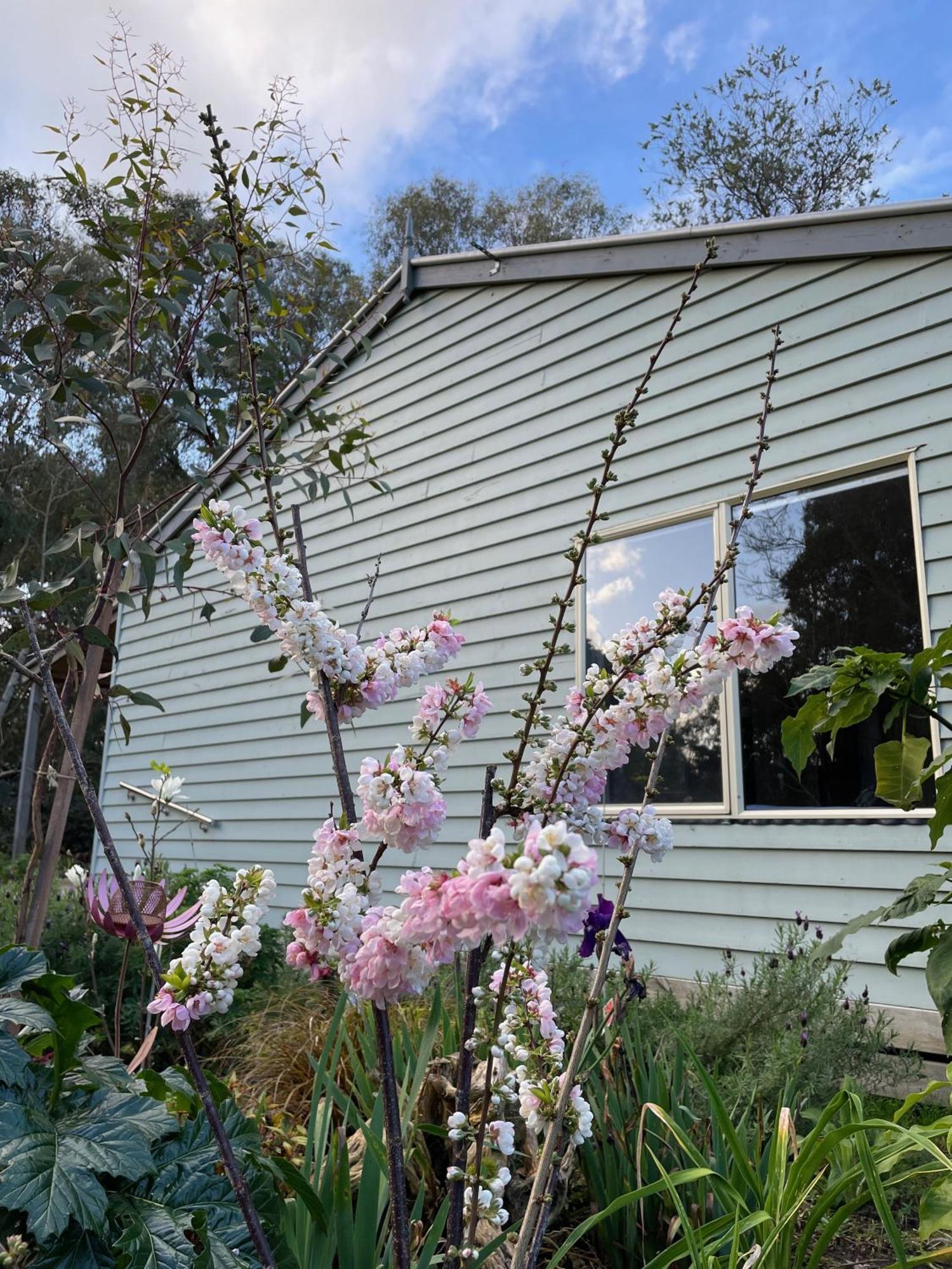 Tindoona Cottages Foster Exterior foto