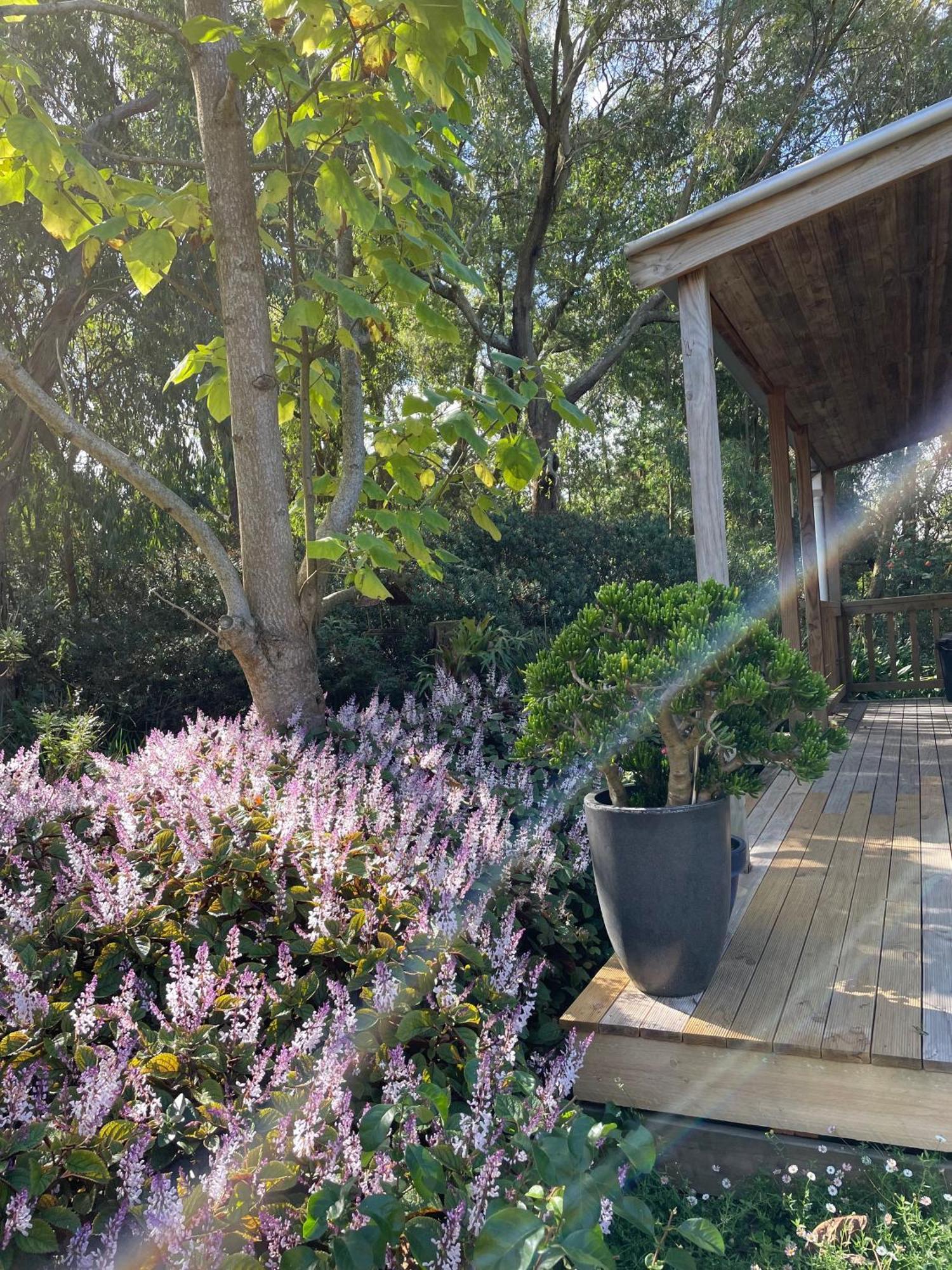 Tindoona Cottages Foster Exterior foto