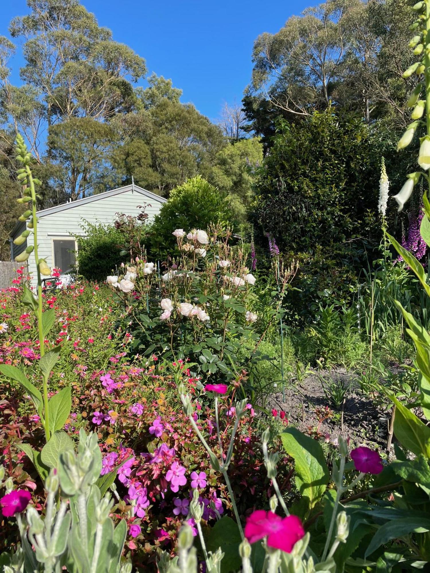 Tindoona Cottages Foster Exterior foto