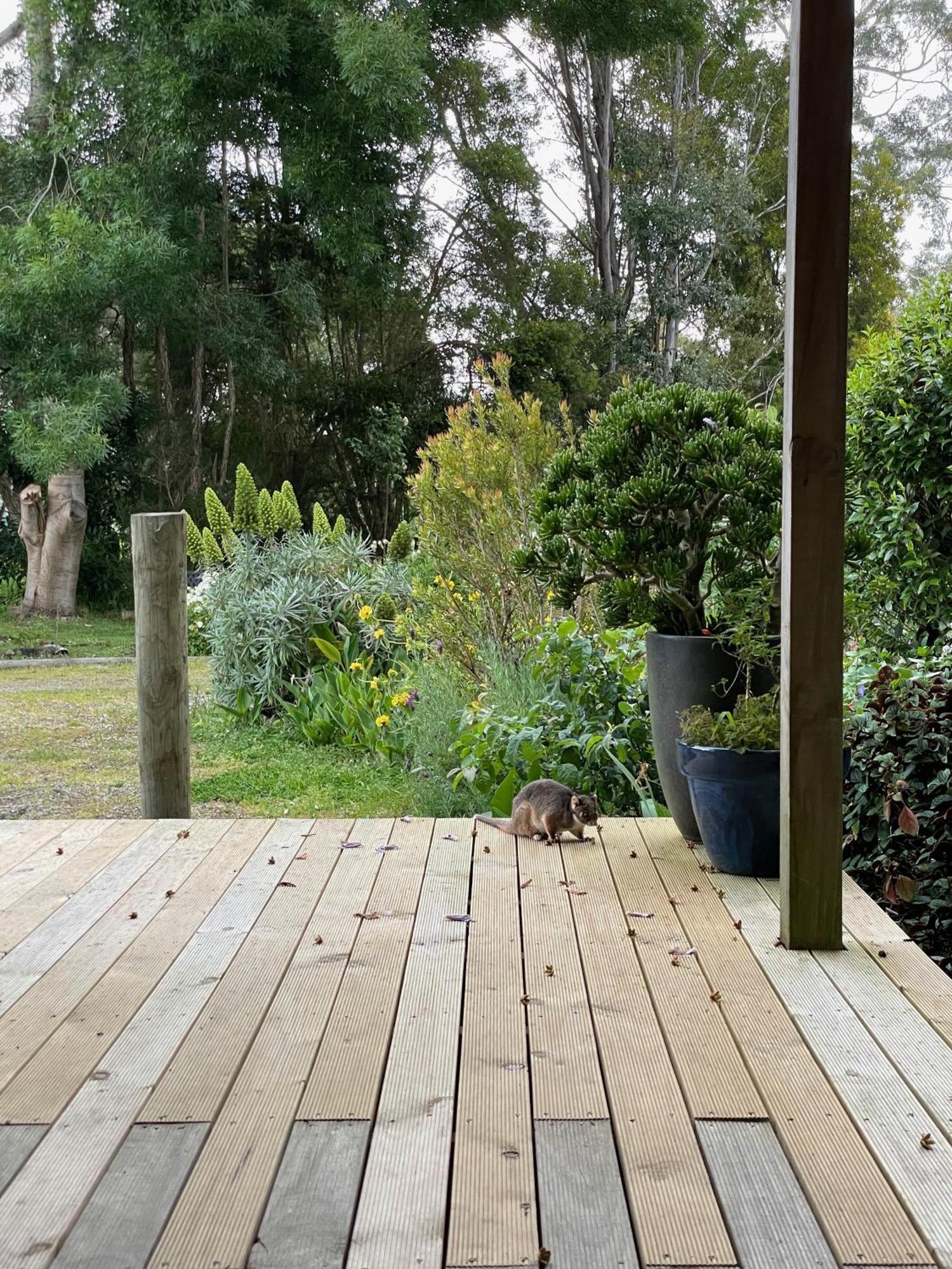 Tindoona Cottages Foster Exterior foto