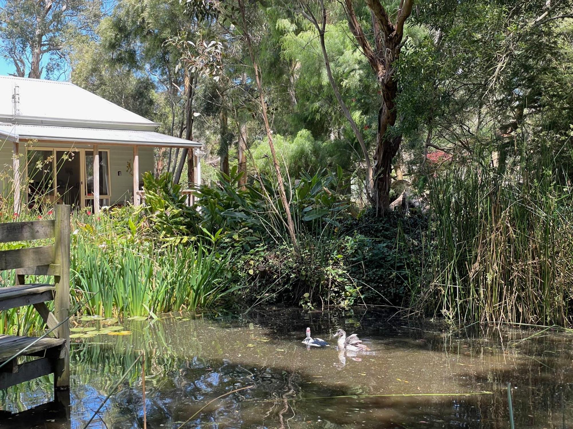 Tindoona Cottages Foster Exterior foto