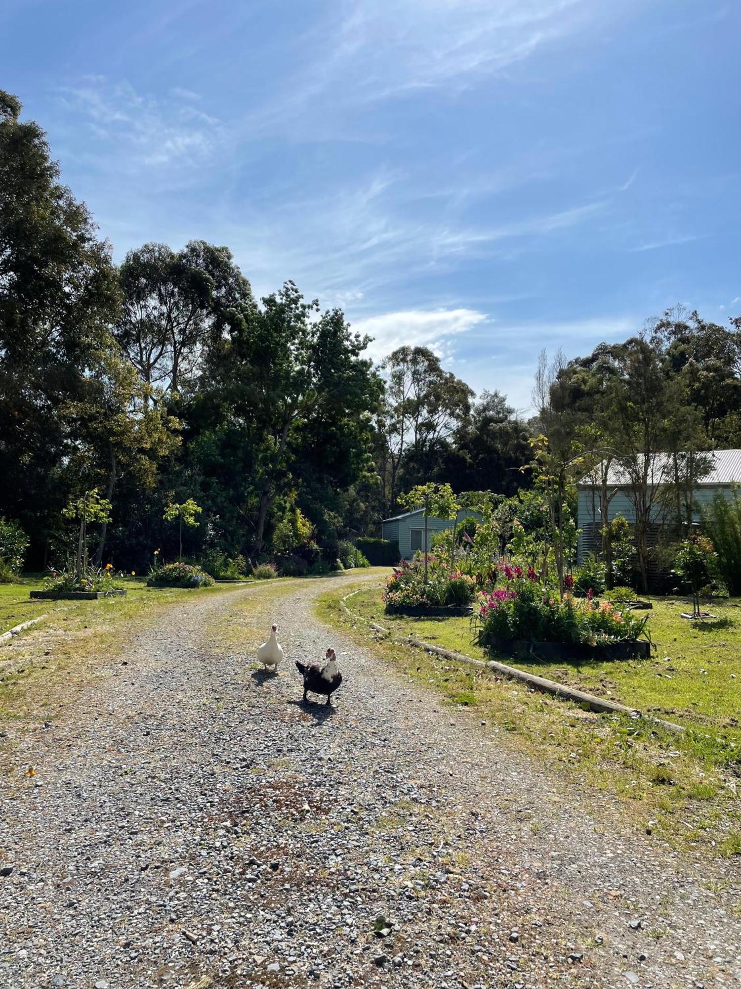 Tindoona Cottages Foster Exterior foto